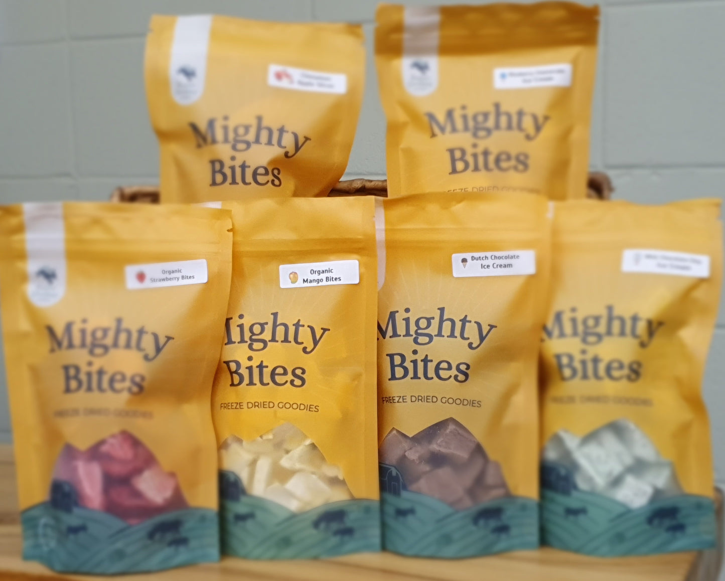 Mystery Sampler Pack - 3 Fruit & 3 Ice Cream