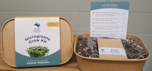 Bangin' Broccoli Microgreen Grow Kit